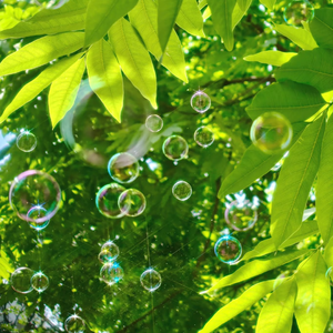 10岁孩子泰国幼稚
